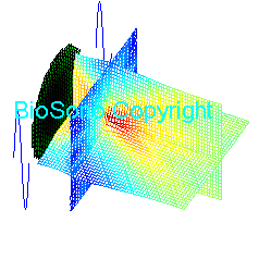 Ultrasound Beam Propagation Moview
